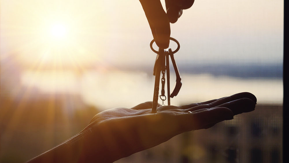 squartis-conseils-services-solutions-cle-en-main